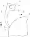 Fig. 48 - Conveyor transfer guards