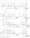 Fig. 04 - METHOD AND APPARATUS FOR DETECTING IRREGULARITIES ON A MATERIAL STRAND