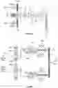 Fig. 03 - SYSTEM AND METHOD FOR HYDRAULIC-PNEUMATIC DRIVE WITH ENERGY STORAGE FOR ELEVATORS