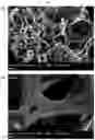 Fig. 13 - Standalone precursor for synthesizing nanomaterials and apparatus for synthesizing nanomaterials using the same