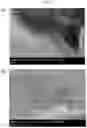 Fig. 14 - Standalone precursor for synthesizing nanomaterials and apparatus for synthesizing nanomaterials using the same