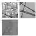 Fig. 16 - Standalone precursor for synthesizing nanomaterials and apparatus for synthesizing nanomaterials using the same