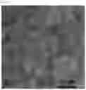 Fig. 25 - NANOPARTICLES FOR PHOTOCHROMIC MATERIAL AND AQUEOUS DISPERSION OF NANOPARTICLES FOR PHOTOCHROMIC MATERIAL