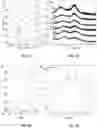 Fig. 02 - BORATE-GLASS COMPOSITIONS, METHODS OF MANUFACTURE, AND USES