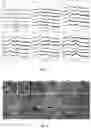Fig. 04 - BORATE-GLASS COMPOSITIONS, METHODS OF MANUFACTURE, AND USES