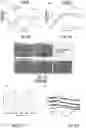 Fig. 06 - BORATE-GLASS COMPOSITIONS, METHODS OF MANUFACTURE, AND USES