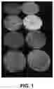 Fig. 02 - Photoluminescent premixed compositions, related methods and uses