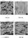 Fig. 05 - Conversion of gypsum waste into foamed construction material