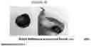 Fig. 20 - PROCESS FOR CLEAVING SULFUR-SULFUR AND SULFUR-HYDROGEN BONDS IN ORGANIC COMPOUNDS