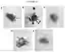 Fig. 22 - PROCESS FOR CLEAVING SULFUR-SULFUR AND SULFUR-HYDROGEN BONDS IN ORGANIC COMPOUNDS
