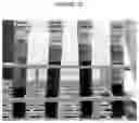 Fig. 23 - PROCESS FOR CLEAVING SULFUR-SULFUR AND SULFUR-HYDROGEN BONDS IN ORGANIC COMPOUNDS