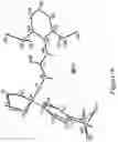 Fig. 09 - Solid drug form of N-(2,6-bis(1-methylethyl)phenyl)-N′-((1-(4-(dimethylamino)phenyl)cyclopentyl)methyl)urea hydrochloride and compositions, methods and kits related thereto
