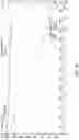 Fig. 20 - Crystalline solid forms of salts of N-{4-[(6,7-dimethoxyquinolin-4-yl)oxy]phenyl}-N′-(4-fluorophenyl) cyclopropane-1,1-dicarboxamide, processes for making, and methods of use