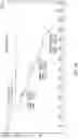 Fig. 25 - Crystalline solid forms of salts of N-{4-[(6,7-dimethoxyquinolin-4-yl)oxy]phenyl}-N′-(4-fluorophenyl) cyclopropane-1,1-dicarboxamide, processes for making, and methods of use