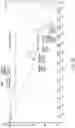 Fig. 29 - Crystalline solid forms of salts of N-{4-[(6,7-dimethoxyquinolin-4-yl)oxy]phenyl}-N′-(4-fluorophenyl) cyclopropane-1,1-dicarboxamide, processes for making, and methods of use