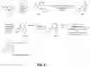 Fig. 07 - Compositions and methods for reducing tactile dysfunction, anxiety, and social impairment