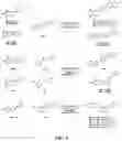 Fig. 03 - KINASE INHIBITOR COMPOUNDS AND COMPOSITIONS AND METHODS OF USE