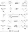 Fig. 05 - KINASE INHIBITOR COMPOUNDS AND COMPOSITIONS AND METHODS OF USE
