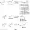 Fig. 06 - KINASE INHIBITOR COMPOUNDS AND COMPOSITIONS AND METHODS OF USE
