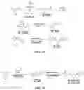 Fig. 11 - KINASE INHIBITOR COMPOUNDS AND COMPOSITIONS AND METHODS OF USE