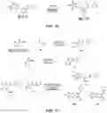 Fig. 12 - KINASE INHIBITOR COMPOUNDS AND COMPOSITIONS AND METHODS OF USE