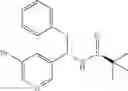 Fig. 206 - KINASE INHIBITOR COMPOUNDS AND COMPOSITIONS AND METHODS OF USE