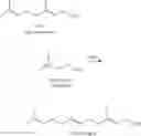 Fig. 110 - ISOPRENOIDS AND METHODS OF MAKING THEREOF