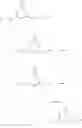Fig. 68 - Benzodiazepine derivatives and uses thereof