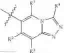 Fig. 40 - INDAZOLES AS LRRK2 INHIBITORS