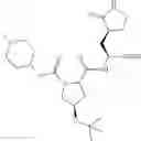 Fig. 208 - Inhibitors of cysteine proteases and methods of use thereof