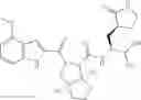 Fig. 338 - Inhibitors of cysteine proteases and methods of use thereof