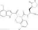 Fig. 554 - Inhibitors of cysteine proteases and methods of use thereof