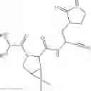 Fig. 83 - Inhibitors of cysteine proteases and methods of use thereof