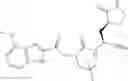 Fig. 847 - Inhibitors of cysteine proteases and methods of use thereof