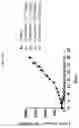 Fig. 11 - SOLID FORMS OF A PARP7 INHIBITOR