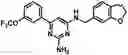 Fig. 01 - COMPOSITIONS AND METHODS FOR INCREASING MUSCLE MASS AND OXIDATIVE METABOLISM