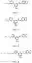 Fig. 03 - COMPOSITIONS AND METHODS FOR INCREASING MUSCLE MASS AND OXIDATIVE METABOLISM