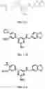 Fig. 05 - COMPOSITIONS AND METHODS FOR INCREASING MUSCLE MASS AND OXIDATIVE METABOLISM