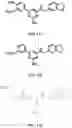 Fig. 06 - COMPOSITIONS AND METHODS FOR INCREASING MUSCLE MASS AND OXIDATIVE METABOLISM