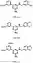 Fig. 15 - COMPOSITIONS AND METHODS FOR INCREASING MUSCLE MASS AND OXIDATIVE METABOLISM