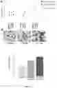 Fig. 21 - COMPOSITIONS AND METHODS FOR INCREASING MUSCLE MASS AND OXIDATIVE METABOLISM