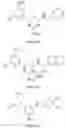 Fig. 34 - COMPOSITIONS AND METHODS FOR INCREASING MUSCLE MASS AND OXIDATIVE METABOLISM