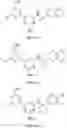 Fig. 37 - COMPOSITIONS AND METHODS FOR INCREASING MUSCLE MASS AND OXIDATIVE METABOLISM
