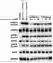 Fig. 01 - Benzothiophene compound, preparation method therefor and use thereof