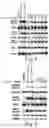 Fig. 02 - Benzothiophene compound, preparation method therefor and use thereof