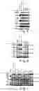 Fig. 04 - Benzothiophene compound, preparation method therefor and use thereof