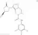 Fig. 45 - PROCESS FOR THE PREPARATION OF (6S)-3-[(4S)-4-CYANO-2-OXO-PYRROLIDIN-1-YL]-6-METHYL-N-(3,4,5-TRIFLUOROPHENYL)-6,7-DIHYDRO-4H-PYRAZOLO[1,5-A]PYRAZINE-5-CARBOXAMIDE