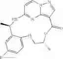 Fig. 44 - Diaryl macrocyclic compound and pharmaceutical composition, and use thereof