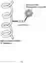 Fig. 08 - PH-DEPENDENT COMPOSITION MATTERS USEFUL FOR STUDY AND DIAGNOSIS OF ALZHEIMER'S DISEASE