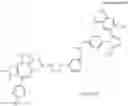 Fig. 64 - METHODS AND COMPOSITIONS FOR TARGETED PROTEIN DEGRADATION